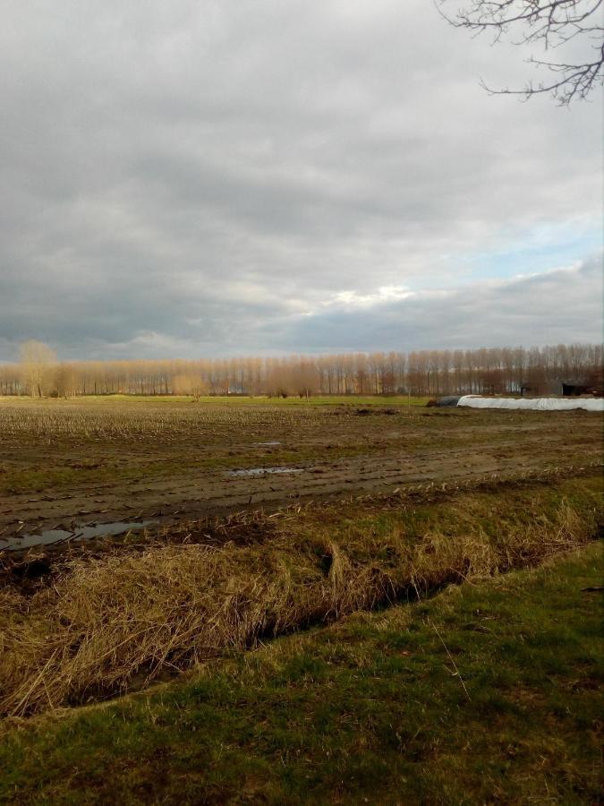 B&B Destiny Maldegem Extérieur photo